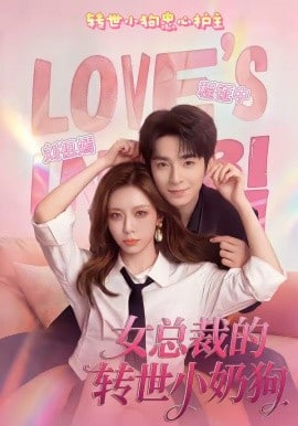 女总裁的转世小奶狗(全集)