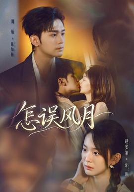 怎误风月(全集)