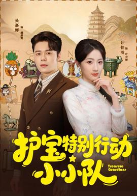 护宝特别行动小小队(全集)
